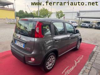 FIAT Panda usata, con Airbag Passeggero