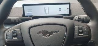 FORD Mustang Mach-E usata, con Immobilizzatore elettronico