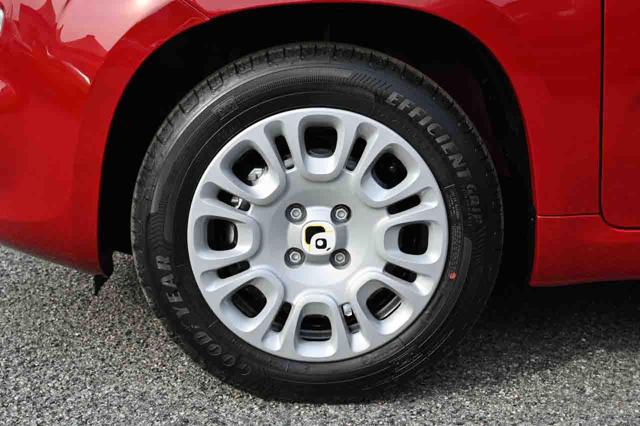 FIAT Panda usata, con Antifurto