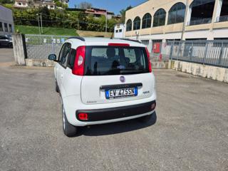 FIAT Panda usata, con Chiusura centralizzata