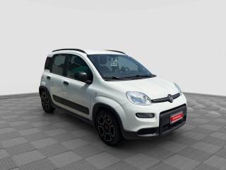 FIAT Panda usata 4