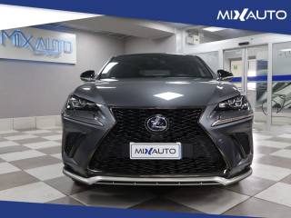LEXUS NX 300 usata, con Airbag
