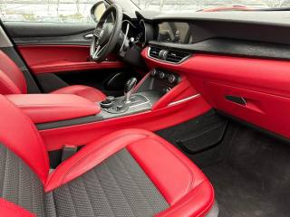 ALFA ROMEO Stelvio usata, con Interni in pelle
