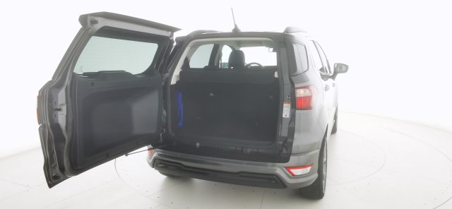 FORD EcoSport usata, con Bracciolo