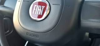 FIAT Panda usata, con Climatizzatore