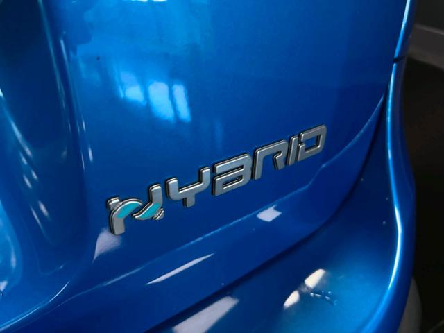 FIAT Panda Cross usata, con Servosterzo