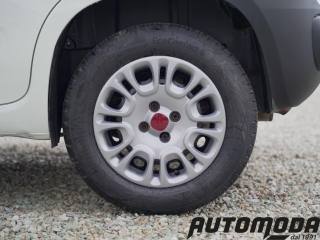FIAT Panda usata 16