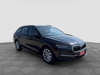 SKODA Octavia usata 6