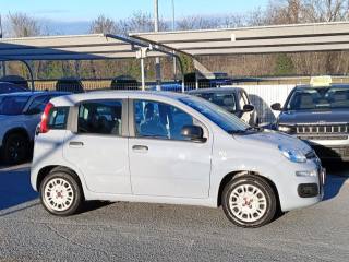 FIAT Panda usata, con Alzacristalli elettrici