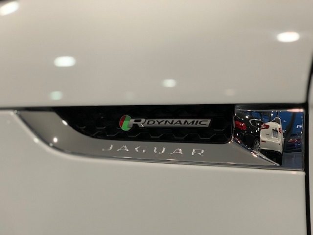 JAGUAR F-Type usata, con Cruise Control