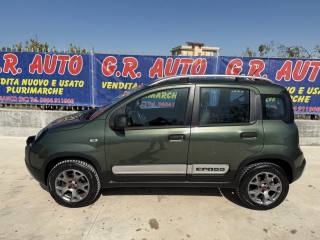 FIAT Panda Cross usata, con Alzacristalli elettrici