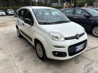 FIAT Panda usata, con Alzacristalli elettrici