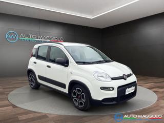FIAT Panda usata, con Airbag Passeggero