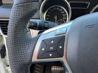 MERCEDES-BENZ ML 250 usata 20