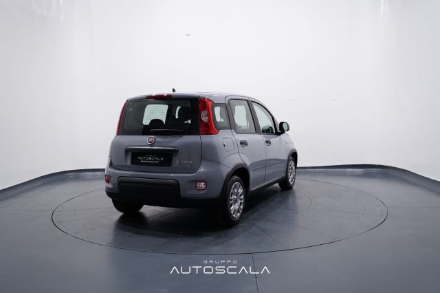 FIAT New Panda usata, con Bluetooth