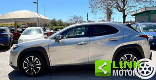LEXUS UX Full Electric usata, con Fendinebbia
