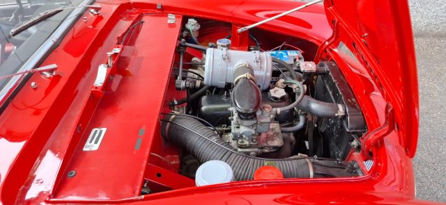 FIAT Other usata 8