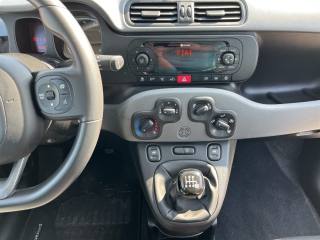 FIAT Panda usata, con Airbag testa