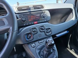FIAT Panda usata 10