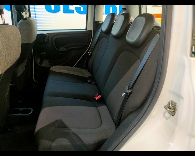 FIAT New Panda usata 15