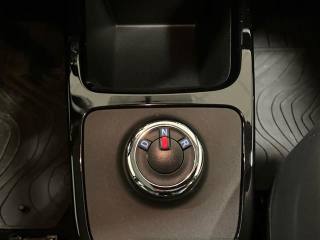 DACIA Spring usata 20