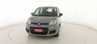 FIAT Panda usata 1