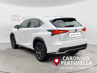 LEXUS NX 300 usata, con Airbag laterali