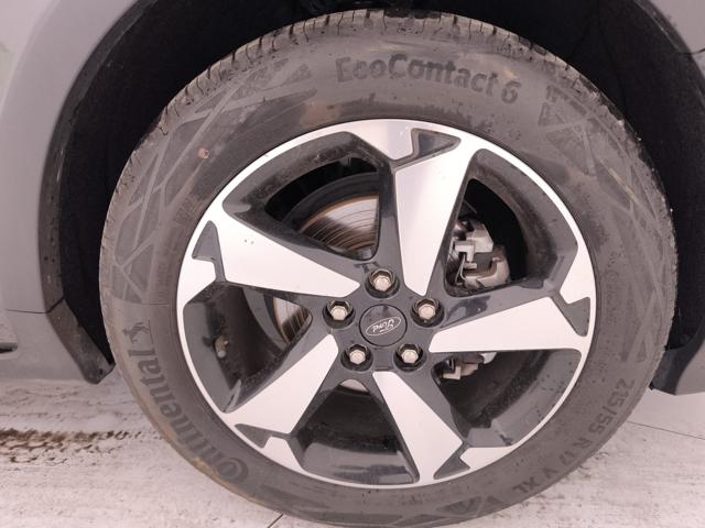 FORD Focus usata, con Supporto lombare