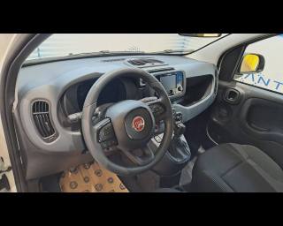 FIAT Panda usata, con Cruise Control
