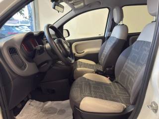 FIAT Panda usata 15