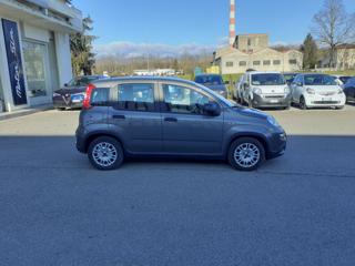FIAT Panda usata, con Alzacristalli elettrici