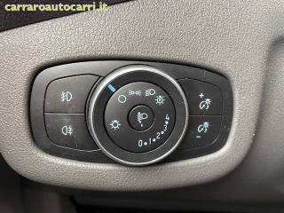FORD Tourneo Connect usata, con Servosterzo
