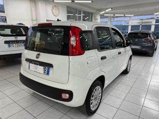 FIAT Panda usata, con Climatizzatore