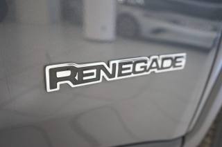 JEEP Renegade usata, con Bracciolo