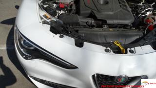 ALFA ROMEO Stelvio usata 96