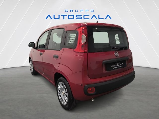 FIAT Pandina usata, con Airbag Passeggero