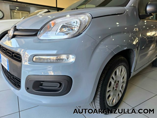 FIAT Panda usata 16