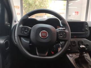 FIAT Panda Cross usata, con Servosterzo