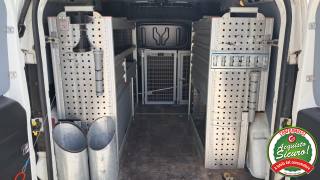 FIAT Doblo usata, con Fendinebbia