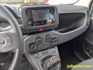 FIAT Panda usata, con Volante multifunzione