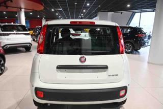 FIAT Panda usata, con Antifurto