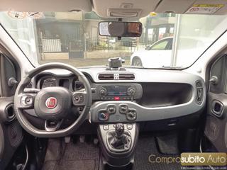 FIAT Panda usata, con Fendinebbia