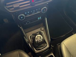 FORD EcoSport usata, con Fendinebbia