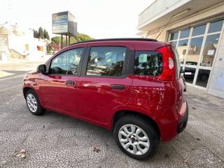 FIAT Panda usata 5
