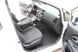 KIA Rio usata, con Fendinebbia