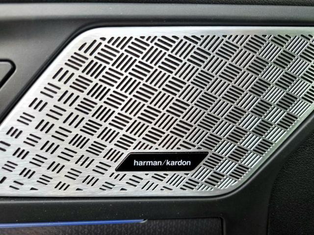 BMW X1 usata 89