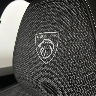 PEUGEOT 3008 usata, con Controllo trazione