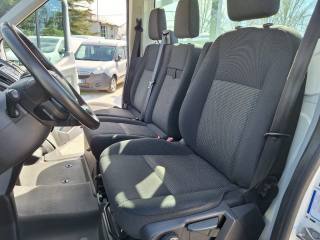 FORD Transit usata, con Fendinebbia