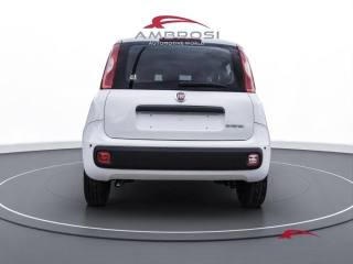 FIAT Panda usata 7