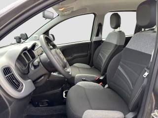 FIAT Panda usata 8